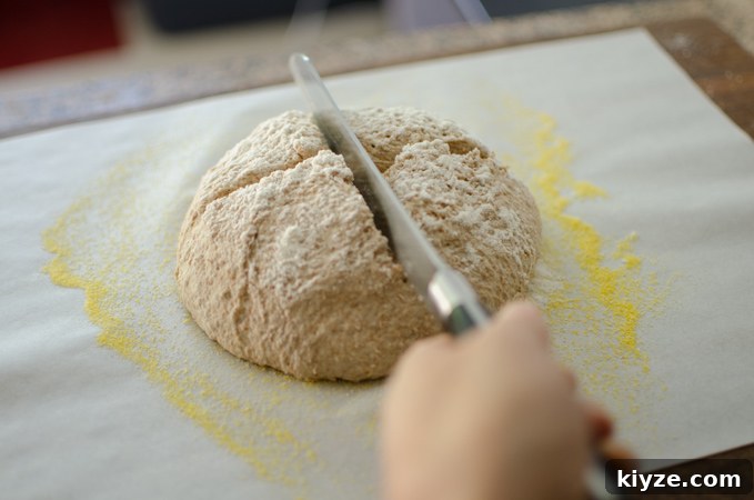 Give a dough crisscross slits.