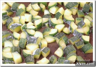 freezing zucchini freezing zucchini