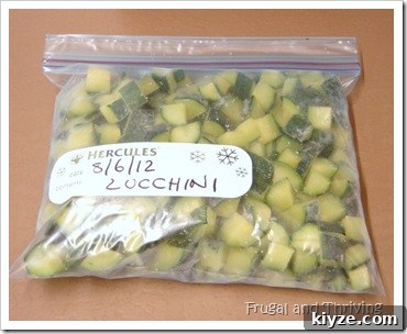 freezing zucchini freezing zucchini