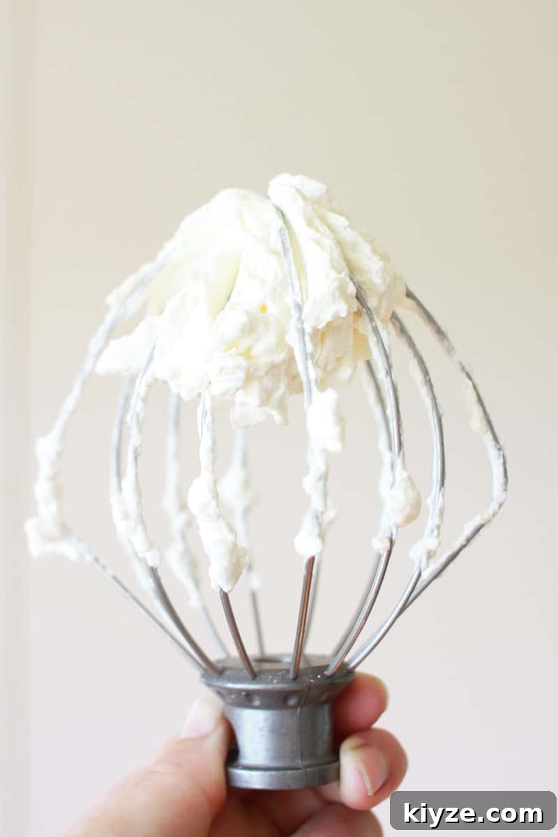 a whisk with whipped cream on it