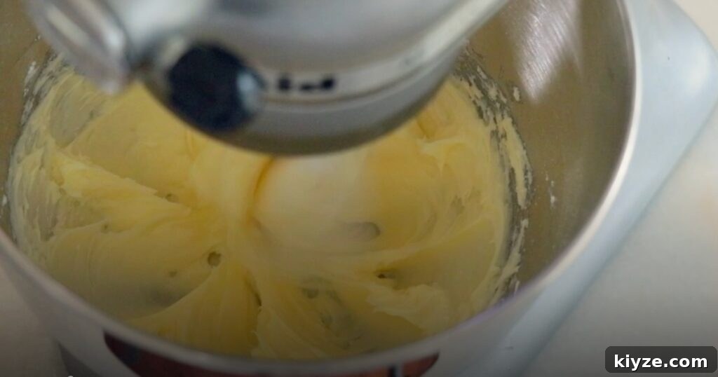 mixing butter and sugar to make cookie dough