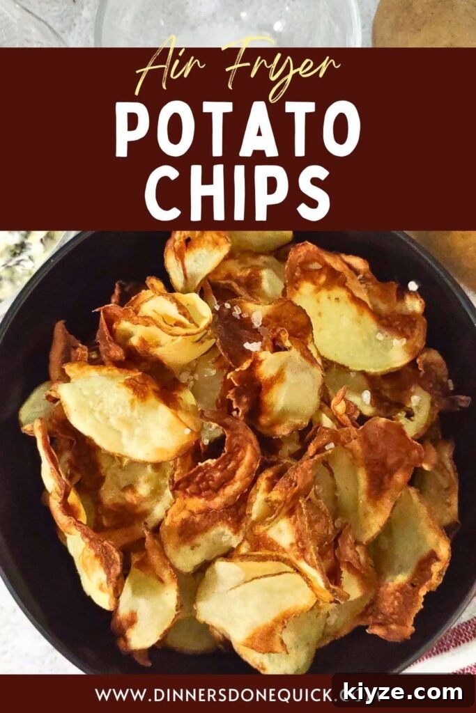 ninja air fryer potato chips recipe dinners done quick pinterest