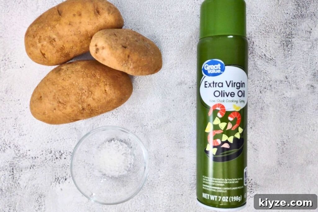 ingredients to make ninja air fryer potato chips