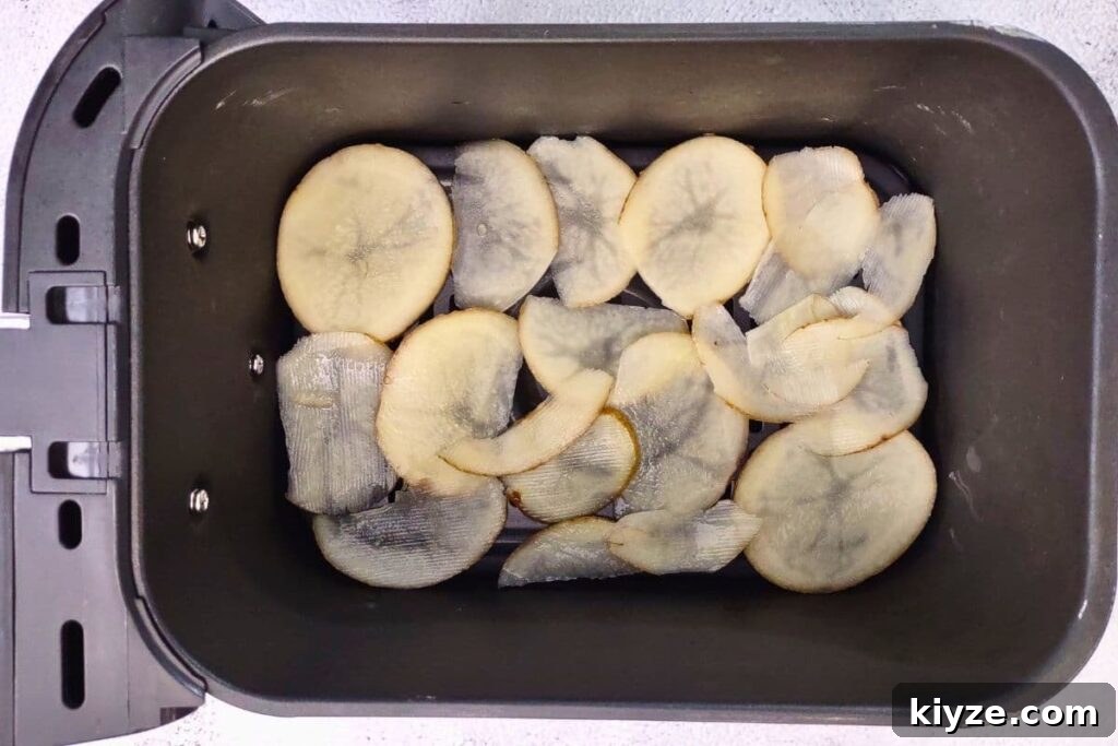 place sliced potatoes in air fryer basket