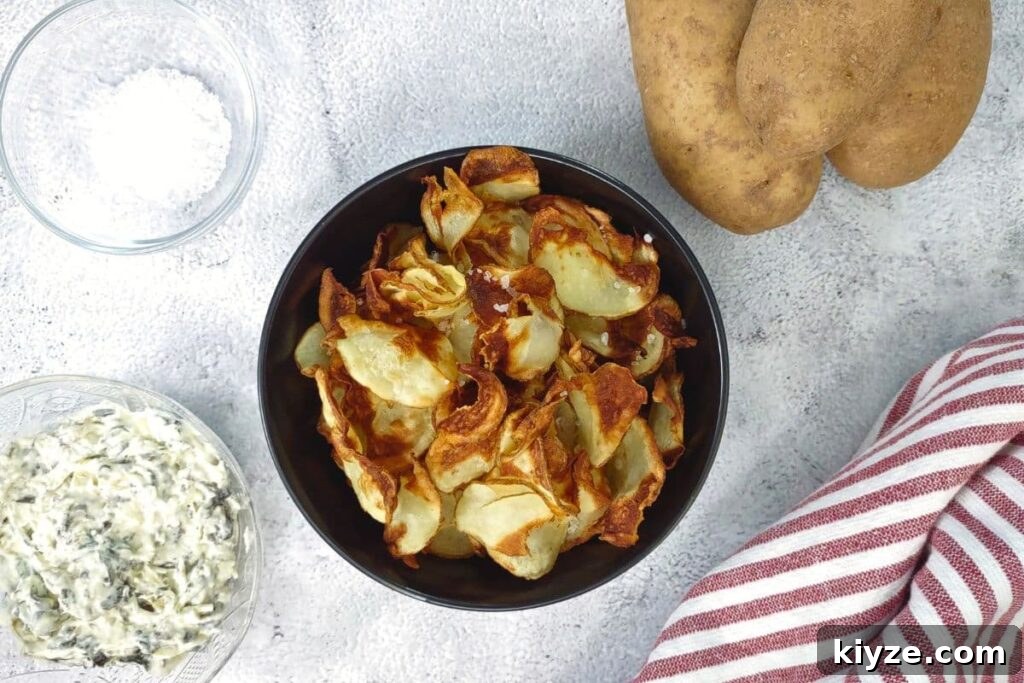 overhead view of ninja air fryer potato chips in a bowl